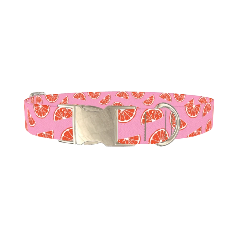 Pink Grapefruit Dog Collar - metal silver