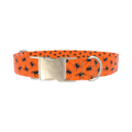 Halloween Tarantula Dog Collar - metal gold