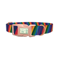 Geometric Rainbow Dog Collar - plastic rose gold