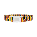 Striped Football Dog Collar - plastic silver