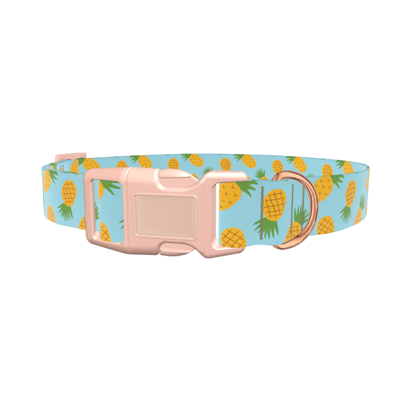Blue Pineapple Dog Collar - plastic gold