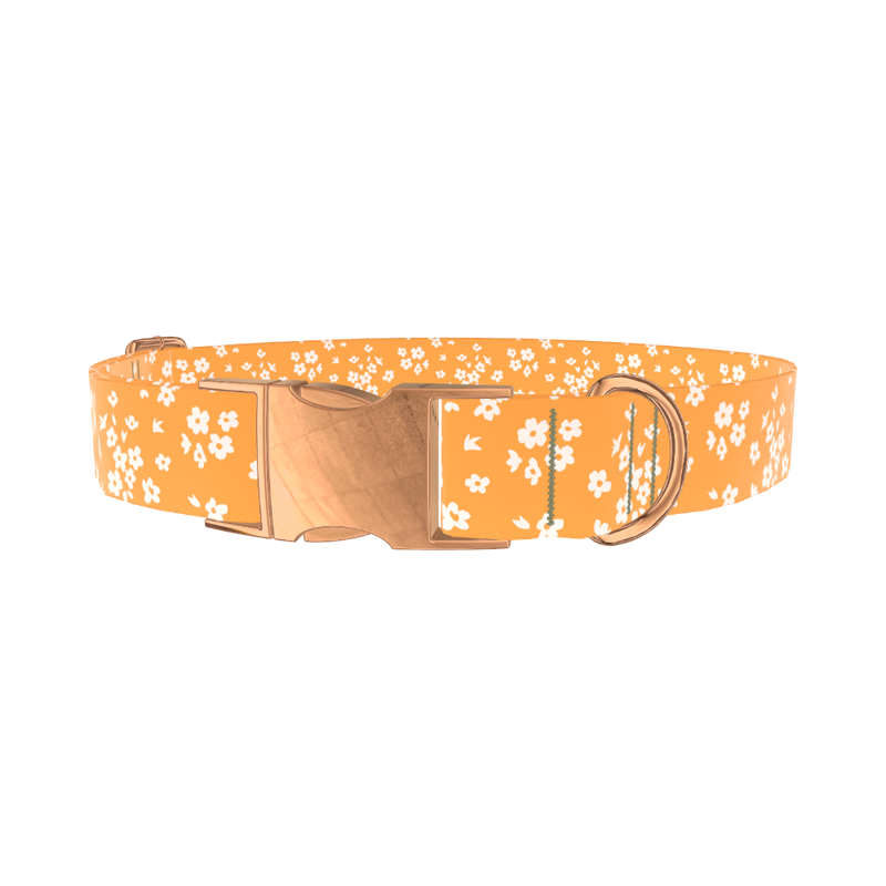 Yellow Blossom Dog Collar - metal rose gold