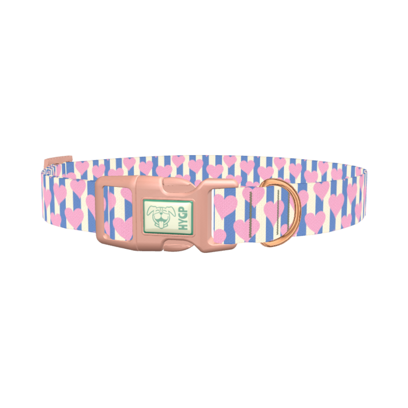Heart Stripes Dog Collar - plastic rose gold