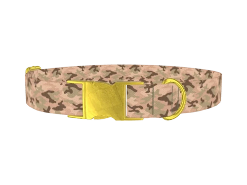 CAMO16_Sandy