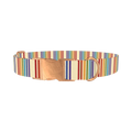 Rainbow Stripe Dog Collar - metal rose gold