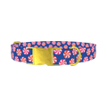 Blue Peppermint Swirl Dog Collar - metal gold