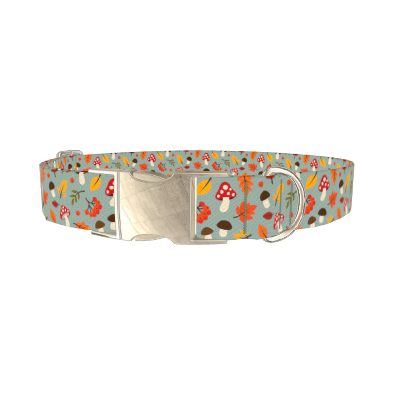 Autumn Leaves Mushroom Dog Collar - metal silver