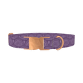 Purple Eye Pattern Dog Collar - metal rose gold