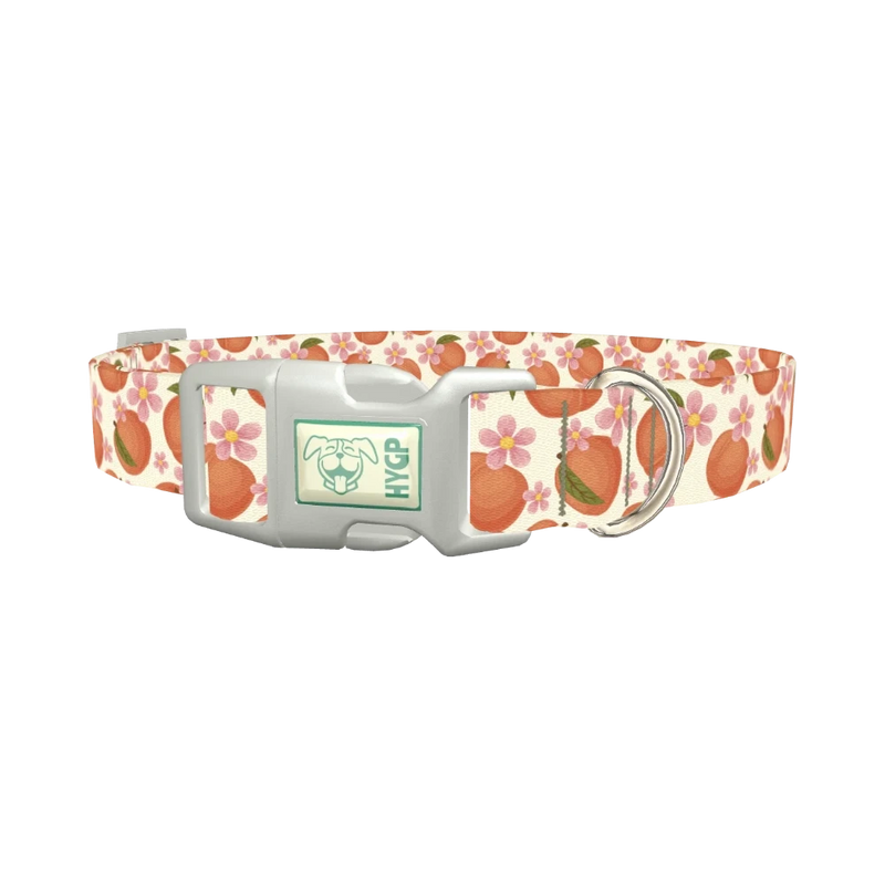 Peach Floral Dog Collar - plastic silver
