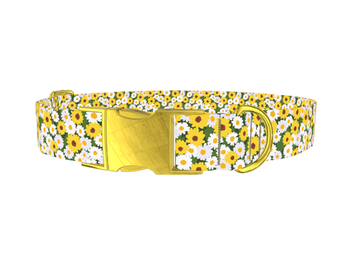 FLORAL_DaisyWhiteYellow