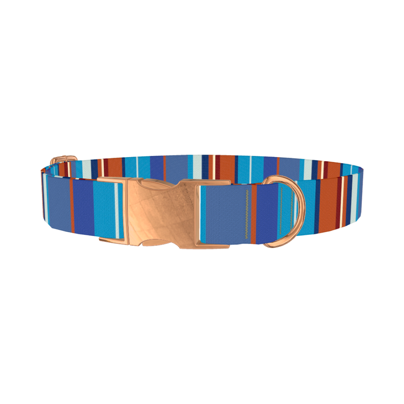Orange Blue Stripes Dog Collar - metal rose gold