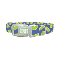 Lime Fruit Dog Collar - plastic silver