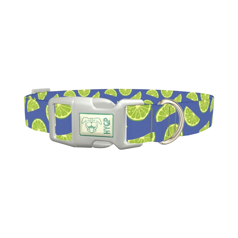 Lime Fruit Dog Collar - plastic silver