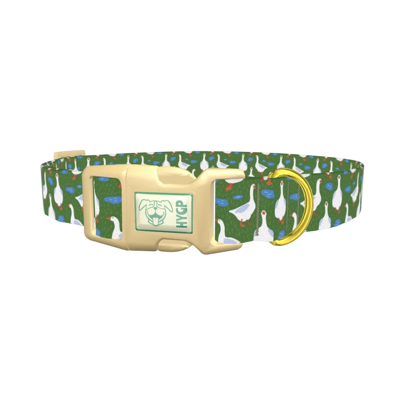 Goose Pond Dog Collar - plastic gold