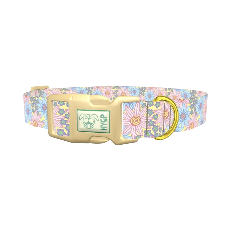 Floral Spiral Dog Collar - plastic gold