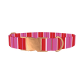 Red Pink Striped Dog Collar - metal rose gold