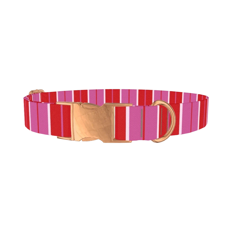 Red Pink Striped Dog Collar - metal rose gold