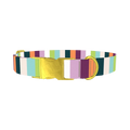 Colorful Stripe Dog Collar - metal gold
