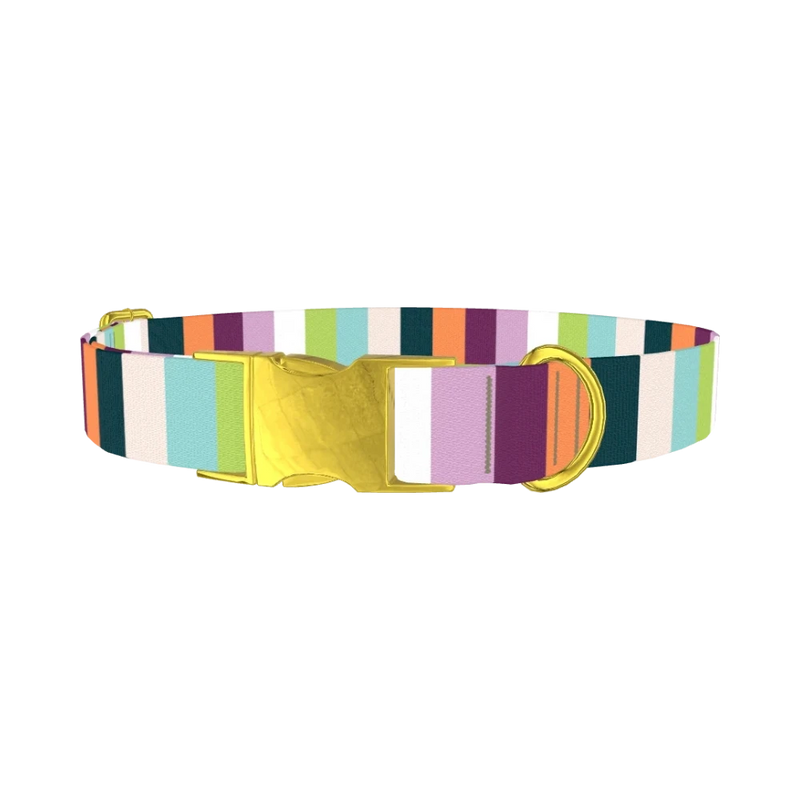 Colorful Stripe Dog Collar - metal gold