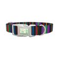 Bold Black Stripe Dog Collar - plastic silver