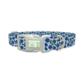 Blueberry Fruit Dog Collar - plastic silver