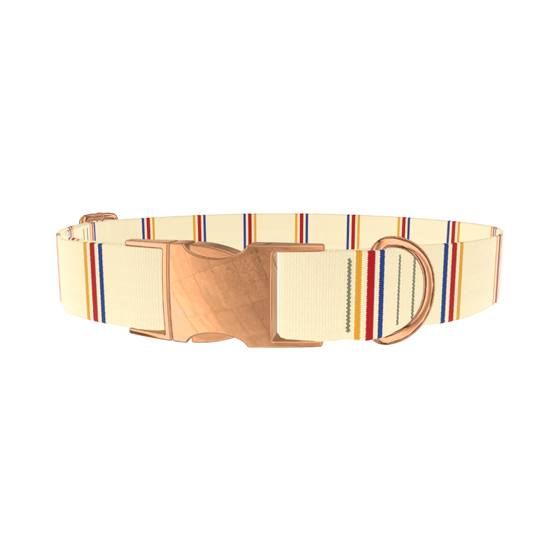 Hexagon Stripe 8870488211671 Dog Collar - metal silver