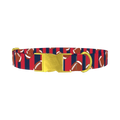 Patriotic Football Dog Collar - metal gold