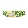 Watermelon Fruit Dog Collar - plastic gold