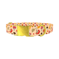 Autumn Leaves and Mushrooms Dog Collar - metal gold