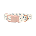 Heart Arrow Dog Collar - plastic silver