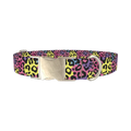 Colorful Leopard Print Dog Collar - metal silver
