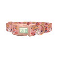 Pink Floral Bloom Dog Collar - plastic rose gold