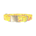 Yellow Abstract Splatter Dog Collar - metal silver