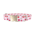 Heart Glasses Dog Collar - metal silver