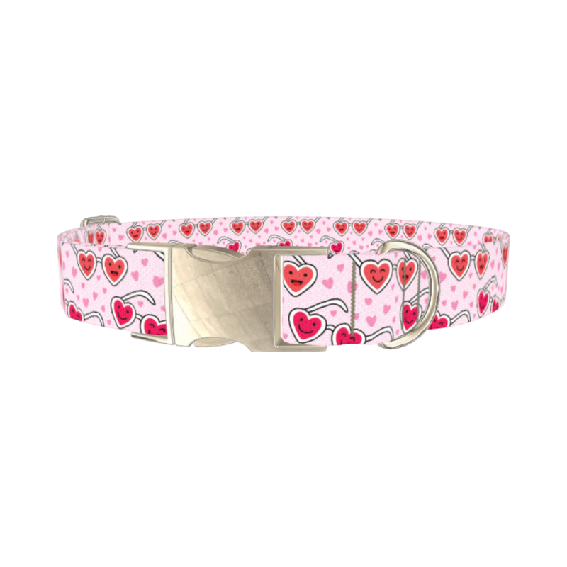 Heart Glasses Dog Collar - metal silver