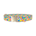 Colorful Heart Dog Collar - metal silver