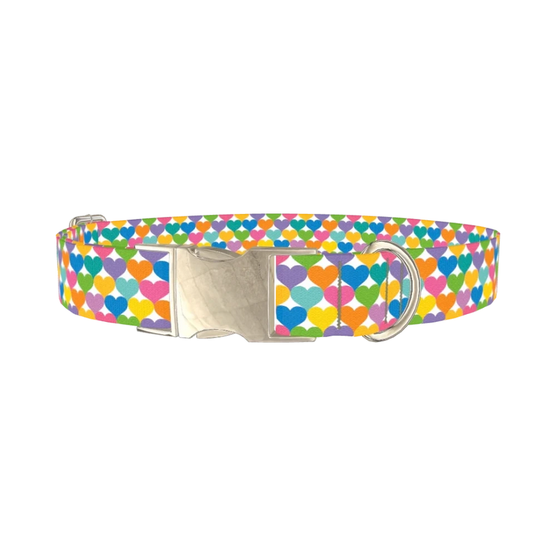 Colorful Heart Dog Collar - metal silver