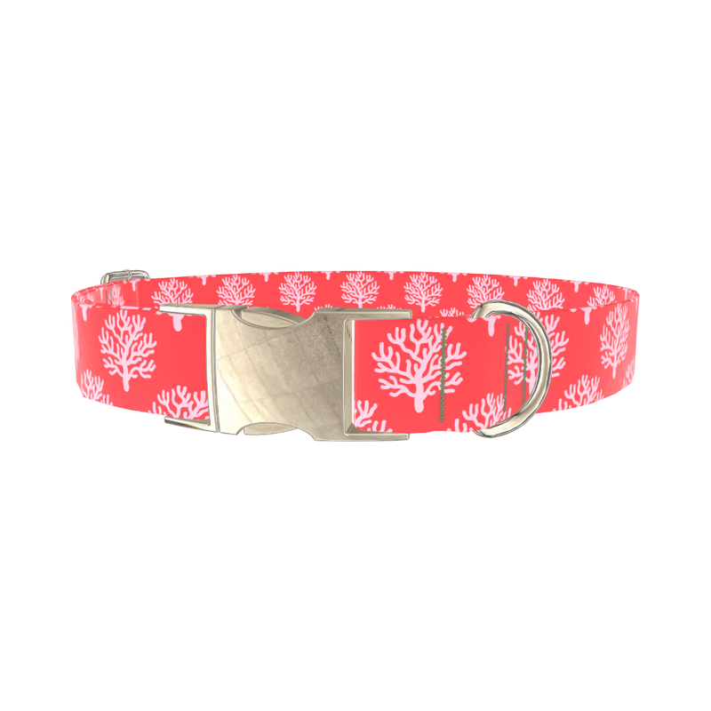 Coral Pattern Dog Collar - metal gold