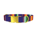 Colorful Stripes Dog Collar - metal gold
