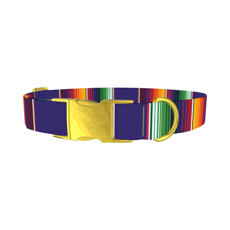 Colorful Stripes Dog Collar - metal gold