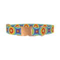 Rainbow Burst Dog Collar - metal rose gold