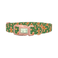 Gingerbread Cookie Dog Collar - plastic rose gold