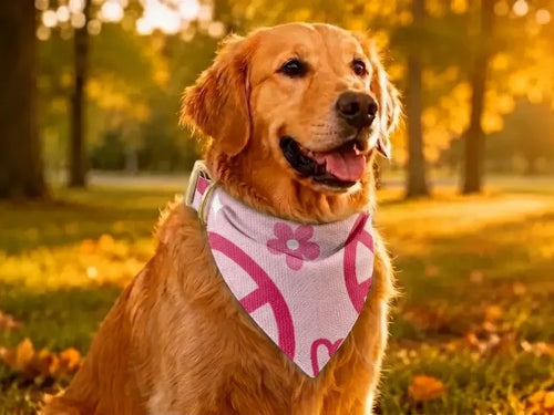 Dog Bandana