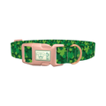 St Patrick's Clover Dog Collar - plastic rose gold