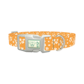 Yellow Blossom Dog Collar - plastic silver