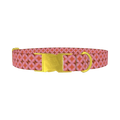 Geometric Star Dog Collar - metal gold