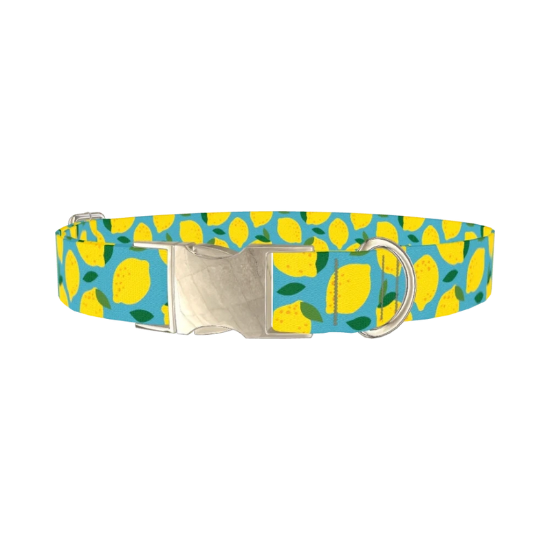 Blue Lemon Pattern Dog Collar - metal silver