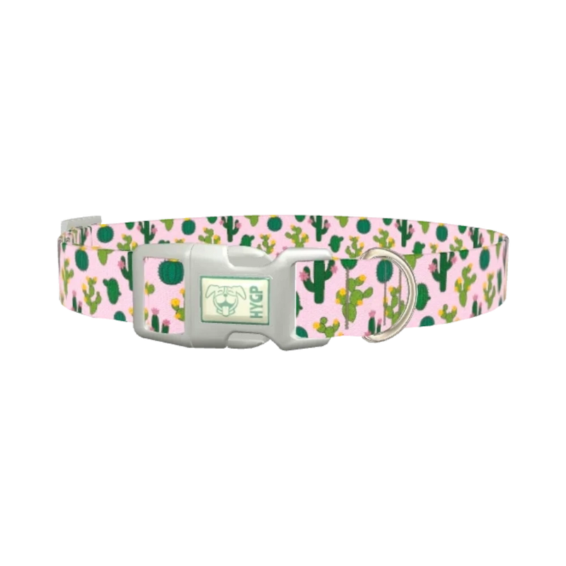Floral Cactus Dog Collar - plastic silver