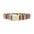 Colorful Striped Dog Collar - plastic silver