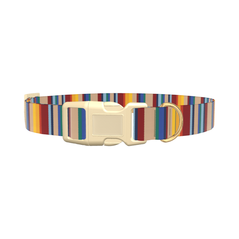 Colorful Striped Dog Collar - plastic silver